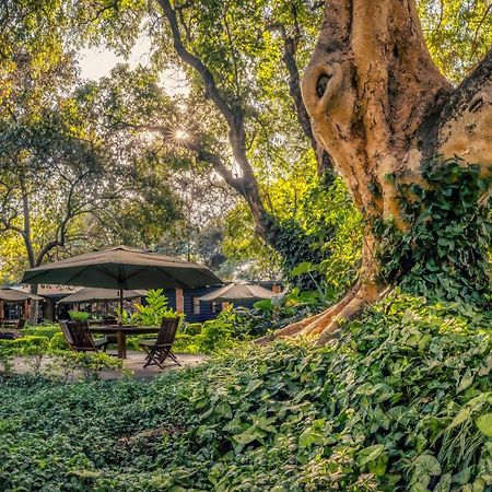 Elewana Arusha Coffee Lodge Exterior foto